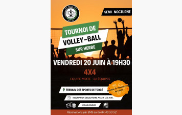 Tournoi sur herbe